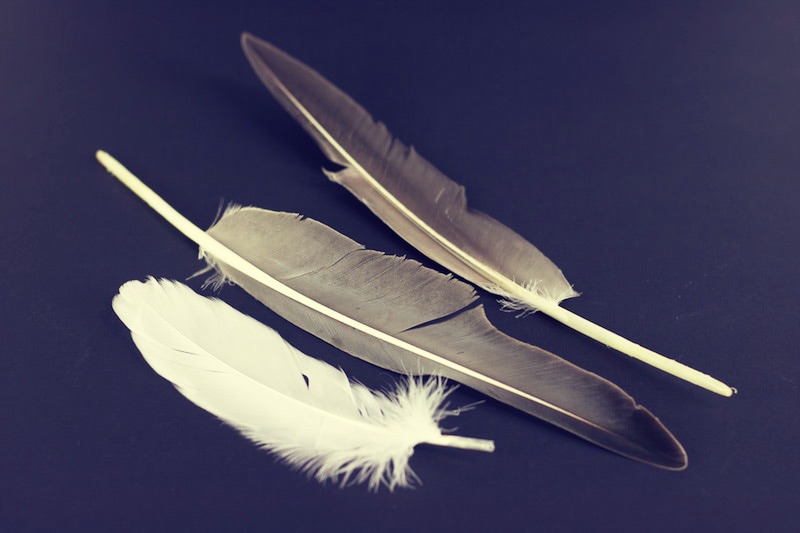 What Is A Quill Pen? History of Feather Pens or Quill Pens